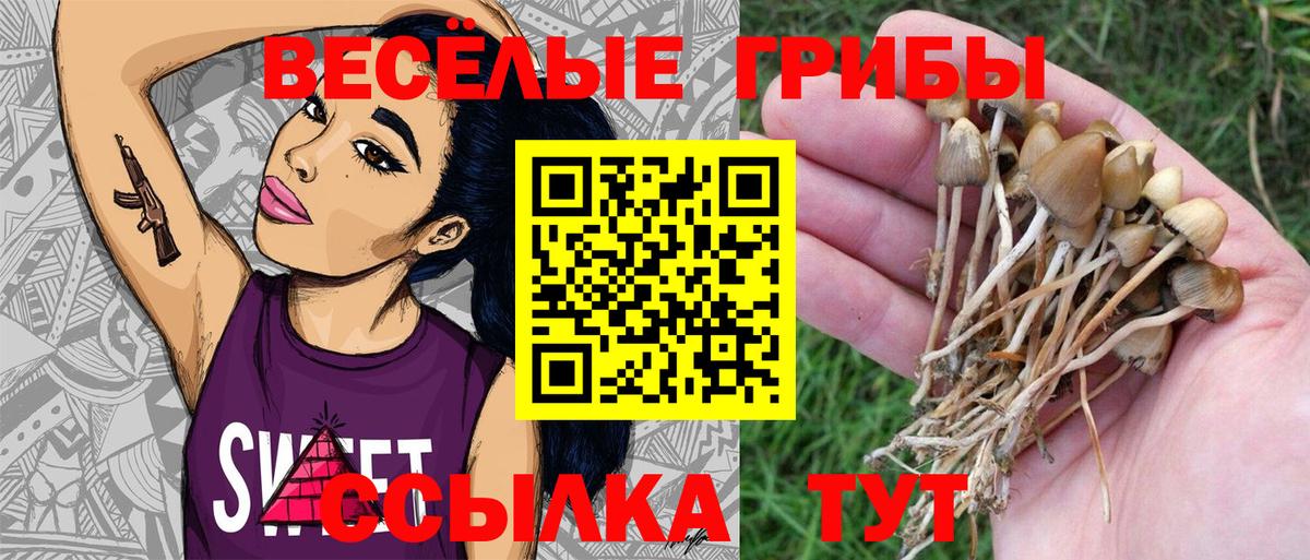 Нефтеюганск  Псилоцибиновые грибы GOLDEN TEACHER  где найти   Вход с VPN 